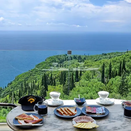 Golden Fox And Apartman *