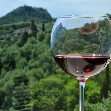 Golden Fox And * Lákones