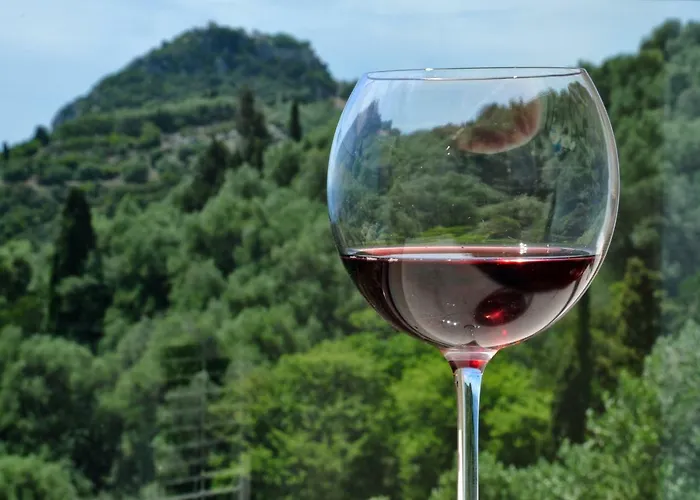 Golden Fox And * Lákones