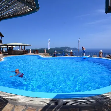 Golden Fox And Lakones